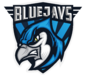 BLUEJAYS.de logo